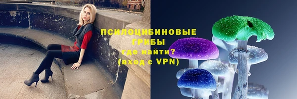apvp Елабуга