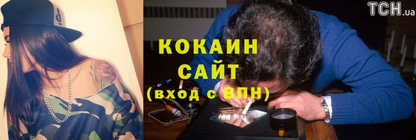 метадон Ельня
