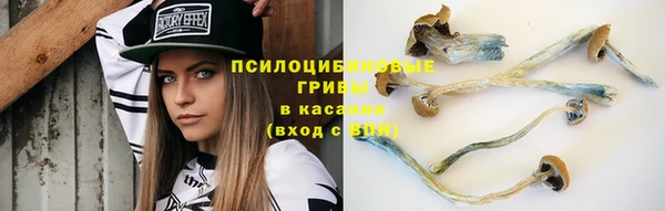 apvp Елабуга