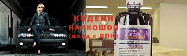 apvp Елабуга