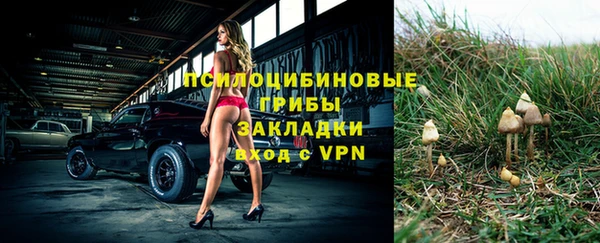 метадон Ельня