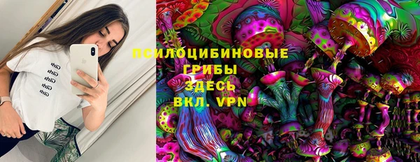 скорость Елизово