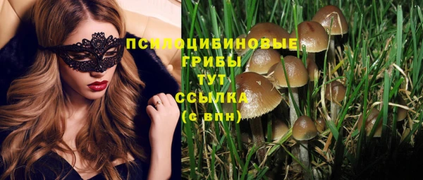 метадон Ельня