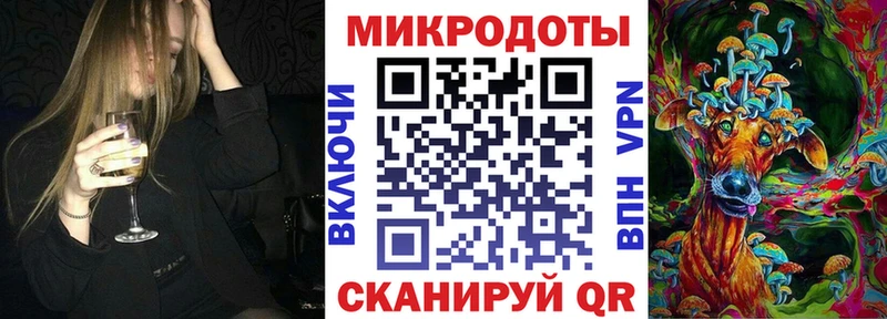 Псилоцибиновые грибы Psilocybe  Купить где  Бирюч 